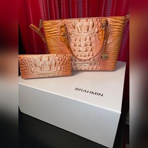 Brahmin purse and wallet